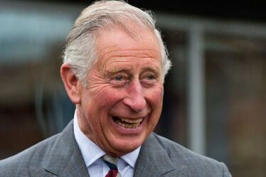 'Chuckling' Charles fait la connaissance d'un autre prince George lors d'un voyage au Pays de Galles