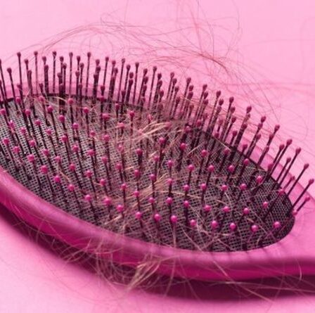 Comment booster la pousse des cheveux : les 4 meilleurs remèdes naturels pour traiter la chute des cheveux