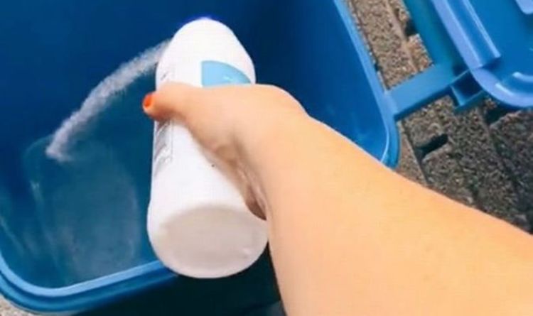 Comment se débarrasser des mouches indésirables dans les poubelles à roulettes pendant la canicule