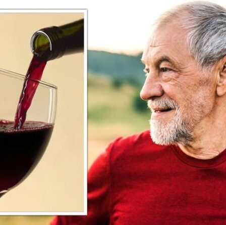 Comment vivre plus longtemps : une boisson par jour pourrait réduire le risque de décès selon une étude - combien puis-je boire ?