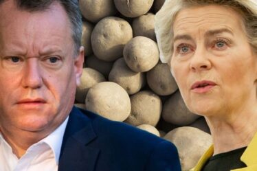 Contre-attaque du Brexit: le Royaume-Uni interdit les importations de pommes de terre de semence de l'UE à Bruxelles