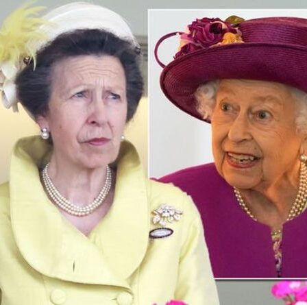 « Côté de la reine que nous apercevons rarement » : le langage corporel « difficile » de la princesse Anne