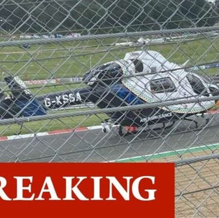 Crash de Brands Hatch: un maréchal bénévole du sport automobile tué dans un accident d'horreur