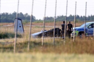 Crash d'un avion en Suède : "plusieurs" meurent dans le crash d'un vol transportant des parachutistes