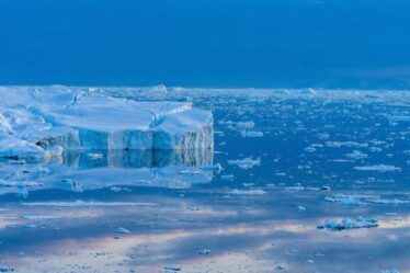 Crise climatique : la fonte des glaces de l'Arctique et l'élévation du niveau de la mer amplifient le réchauffement climatique