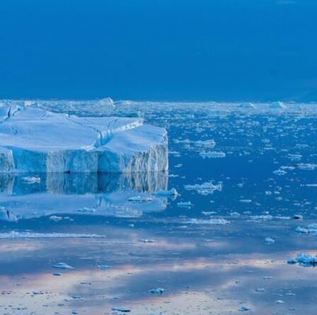 Crise climatique : la fonte des glaces de l'Arctique et l'élévation du niveau de la mer amplifient le réchauffement climatique