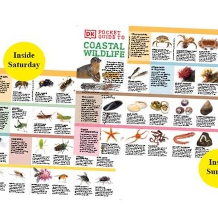 DK Pocket Nature Guides GRATUITS sur les insectes et la faune côtière