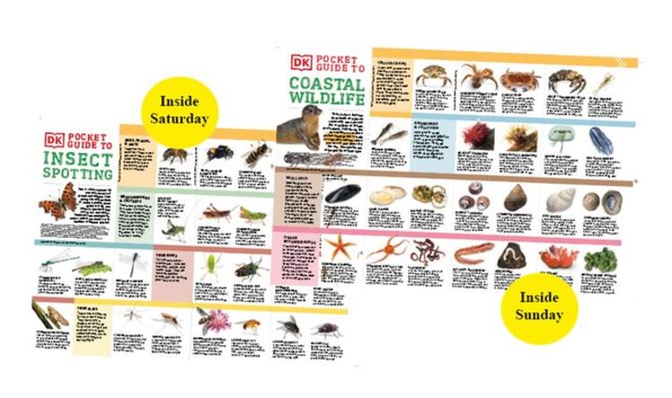 DK Pocket Nature Guides GRATUITS sur les insectes et la faune côtière