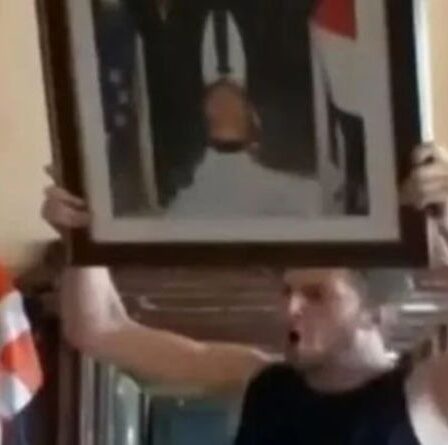 De furieuses manifestations anti-confinement françaises en colère contre Macron – le portrait du président détruit