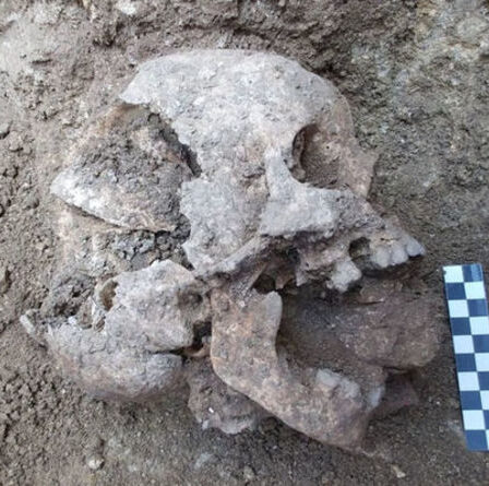 Des archéologues déconcertés par un ancien "enfant vampire" enterré vivant: "Eerie et bizarre"