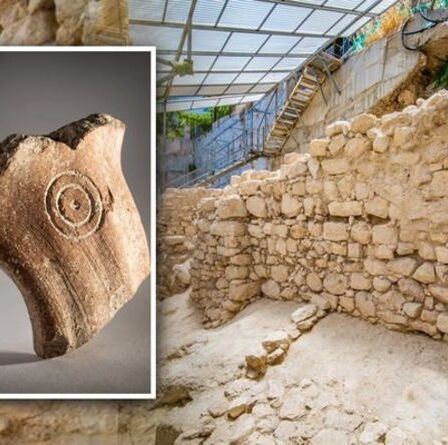 "Des découvertes passionnantes" Un archéologue ému aux larmes par une découverte biblique remarquable en Israël
