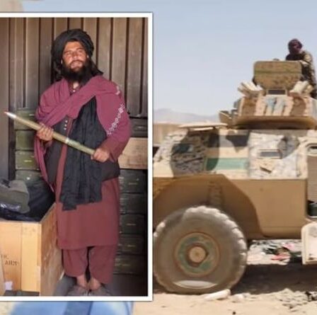 Des images terrifiantes «sans compromis» montrent des talibans avec de toutes nouvelles armes et véhicules américains