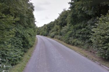 Des "restes humains" découverts près du M4 à Swindon - enquête ouverte