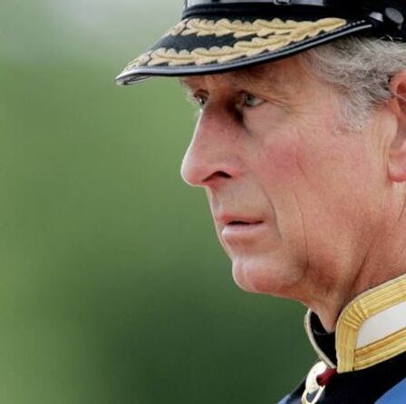 Des "sentiments mitigés" ont empêché le prince Charles d'assister au dévoilement de la statue de Diana – expert