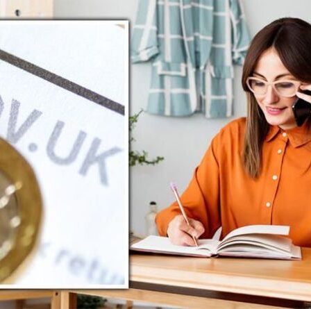 Directives pour les travailleurs indépendants publiées alors que des problèmes d'adoption de SEISS surviennent - comment rester «hors de l'eau»