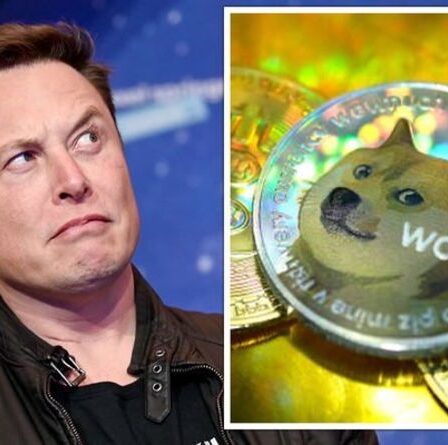 Dogecoin rebondit après le tweet de Musk alors qu'un analyste conseille à la crypto de dépasser 1 $