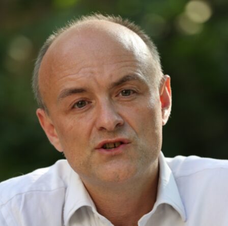 Dominic Cummings affirme que Boris Johnson a plaisanté sur les personnes âgées qui pourraient « obtenir Covid et vivre plus longtemps »