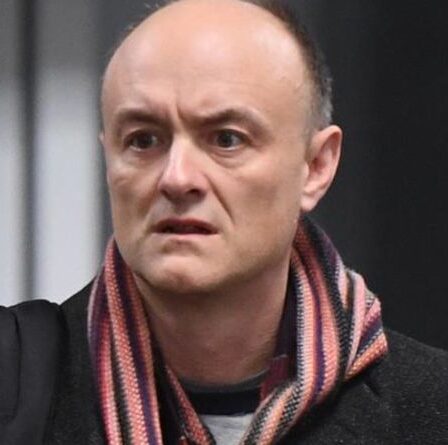 Dominic Cummings fustige le "reste de l'establishment" dans une tirade explosive sur le Brexit