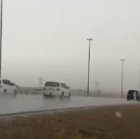 Dubaï déploie un essaim de drones générateurs de pluie pour lutter contre la vague de chaleur de 50 °C déclenchant les moussons – REGARDER