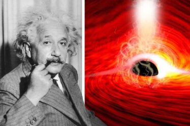 Einstein avait raison !  La découverte d'un trou noir prouve que la théorie de la relativité générale est "en action"