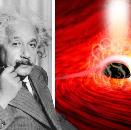 Einstein avait raison ! La découverte d'un trou noir prouve que la théorie de la relativité générale est "en action"