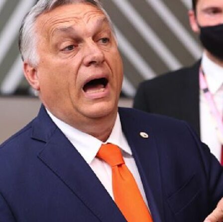 « En nous disant comment vivre notre vie ! »  L'UE se dispute alors que la Hongrie fait exploser Bruxelles "colonialiste"