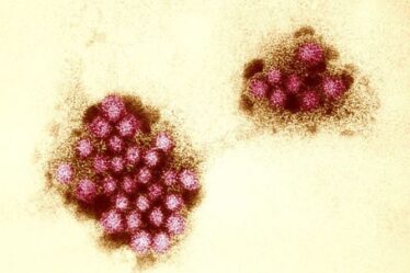 Épidémie de norovirus : les deux endroits où les infections à norovirus sont les PLUS ÉLEVÉES