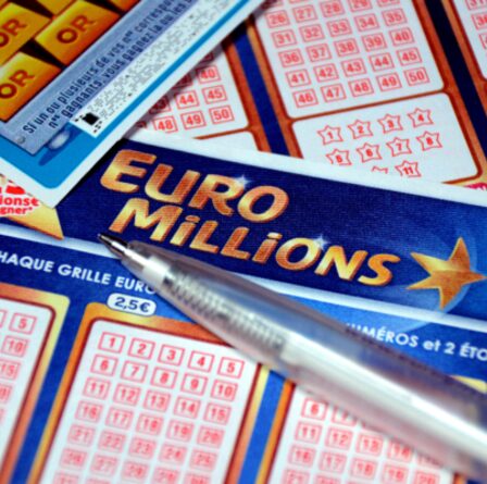 EuroMillions: les détenteurs de billets britanniques sont invités à vérifier leurs billets car 20 gagnent 1 million de livres sterling CHACUN