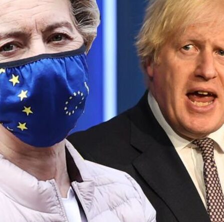 Faites le tri MAINTENANT !  Plus de 2 000 médicaments interdits d'entrée en Grande-Bretagne en raison d'un accord détesté sur le Brexit