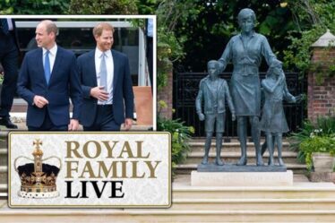 Famille royale EN DIRECT: la statue de Diana de Harry et William se moque brutalement - "Vraiment horrible!"