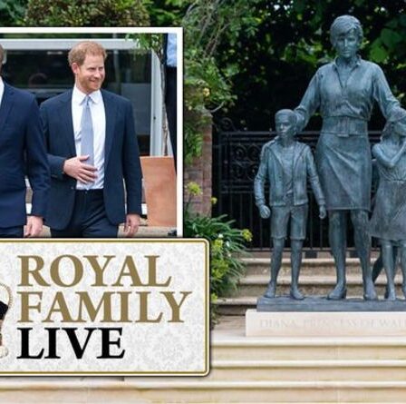 Famille royale EN DIRECT: la statue de Diana de Harry et William se moque brutalement - "Vraiment horrible!"