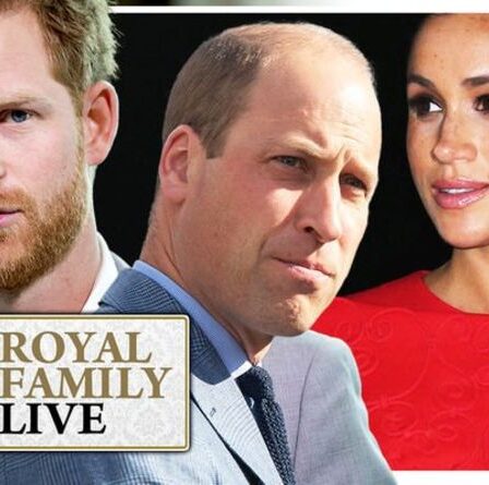 Famille royale EN DIRECT: les fans de Meghan Markle se retournent furieusement contre le prince William – une rangée de racisme éclate