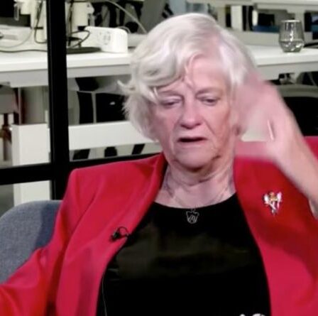 'Farce'!'  Ann Widdecombe ravage les bureaucrates bruxellois alors qu'elle réfléchit à l'expérience de l'UE