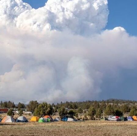 Feux de forêt en Oregon: Inferno dans une zone "plus grande que New York" provoque des "nuages ​​de feu" de plusieurs kilomètres de haut