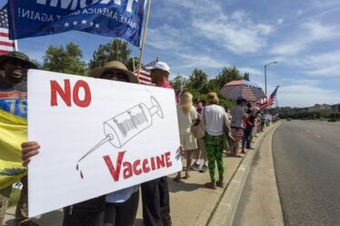 Folie vaccinale : une nouvelle étude vient de faire honte à tous les anti-vaccins du monde