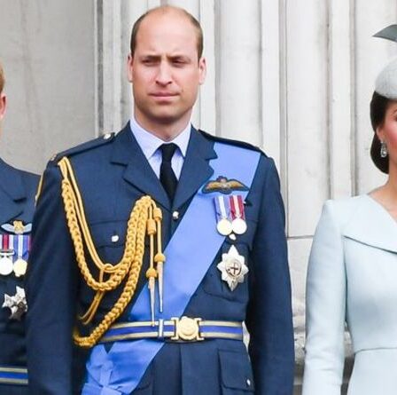 « Frustré » Le prince Harry a riposté au palais se concentrant sur Cambridges « Pourquoi ne puis-je pas faire ça ? »
