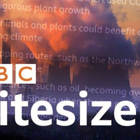 Fury alors que BBC Bitesize répertorie les «impacts positifs» du changement climatique