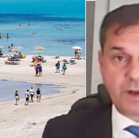 Grèce: les touristes britanniques ne sont pas à blâmer pour les cas de Covid, déclare le ministre du Tourisme - les Britanniques sont "bienvenus"