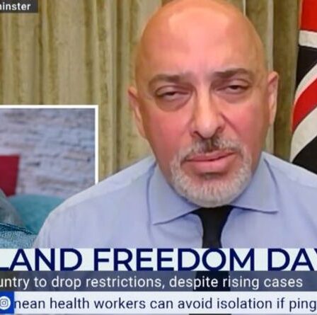 Grippe UK: Zahawi émet un avertissement sérieux contre la grippe une fois le verrouillage levé – comment se préparer
