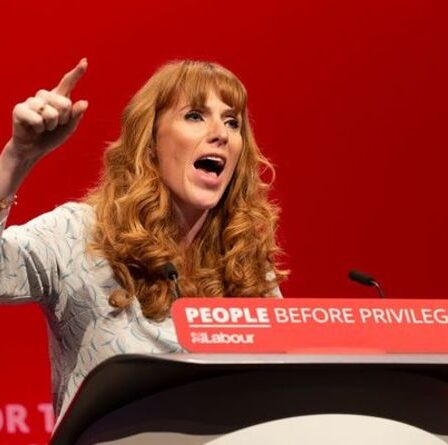 Guerre civile du travail: Angela Rayner "devrait être licenciée", déclare un initié - "Gêne totale"