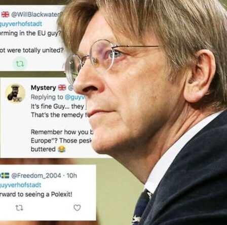 Guy Verhofstadt lance des appels à la sortie de la Pologne de l'UE : « Nous n'avons pas besoin d'eux !