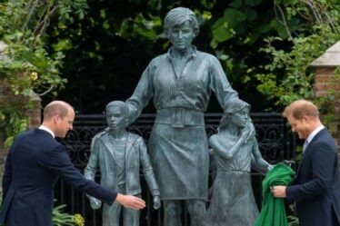 Harry et William semblent «plus séparés» après l'événement de la statue – Ils ont eu des «contacts limités»