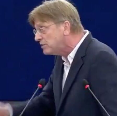 'Honte!'  Guy Verhofstadt explose au Parlement européen contre la loi anti-LGBT+ de Viktor Orban
