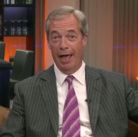 « Il n'est PM qu'à cause de moi ! »  Nigel Farage salue l'impact du Brexit Party sur Boris Johnson