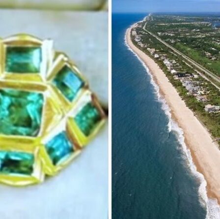 Inca percée après la découverte du «plus grand anneau au trésor jamais trouvé en Amérique» sur la plage