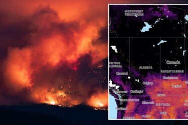Incendies au Canada: des milliers de personnes fuyant 125 incendies de forêt – des ordres d'évacuation alors que 450 hectares en flammes