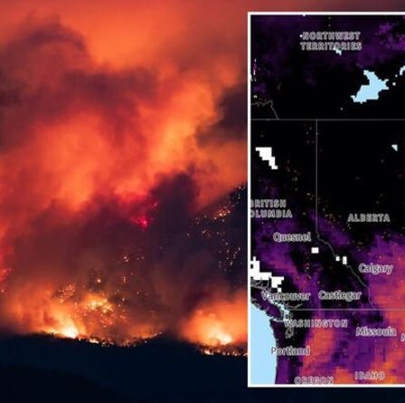 Incendies au Canada: des milliers de personnes fuyant 125 incendies de forêt – des ordres d'évacuation alors que 450 hectares en flammes