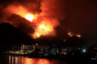 Incendies de forêt en Turquie: au moins 3 morts et 58 à l'hôpital alors que les pompiers combattent plus de 50 incendies