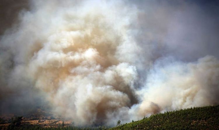 Incendies en Turquie : des incendies meurtriers échappent à tout contrôle – « nous n'avons jamais rien vu de tel »