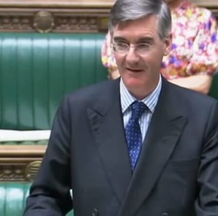 Jacob Rees-Mogg confie aux députés ses suggestions de liste de lecture pour les vacances d'été : « Plutôt tenté !